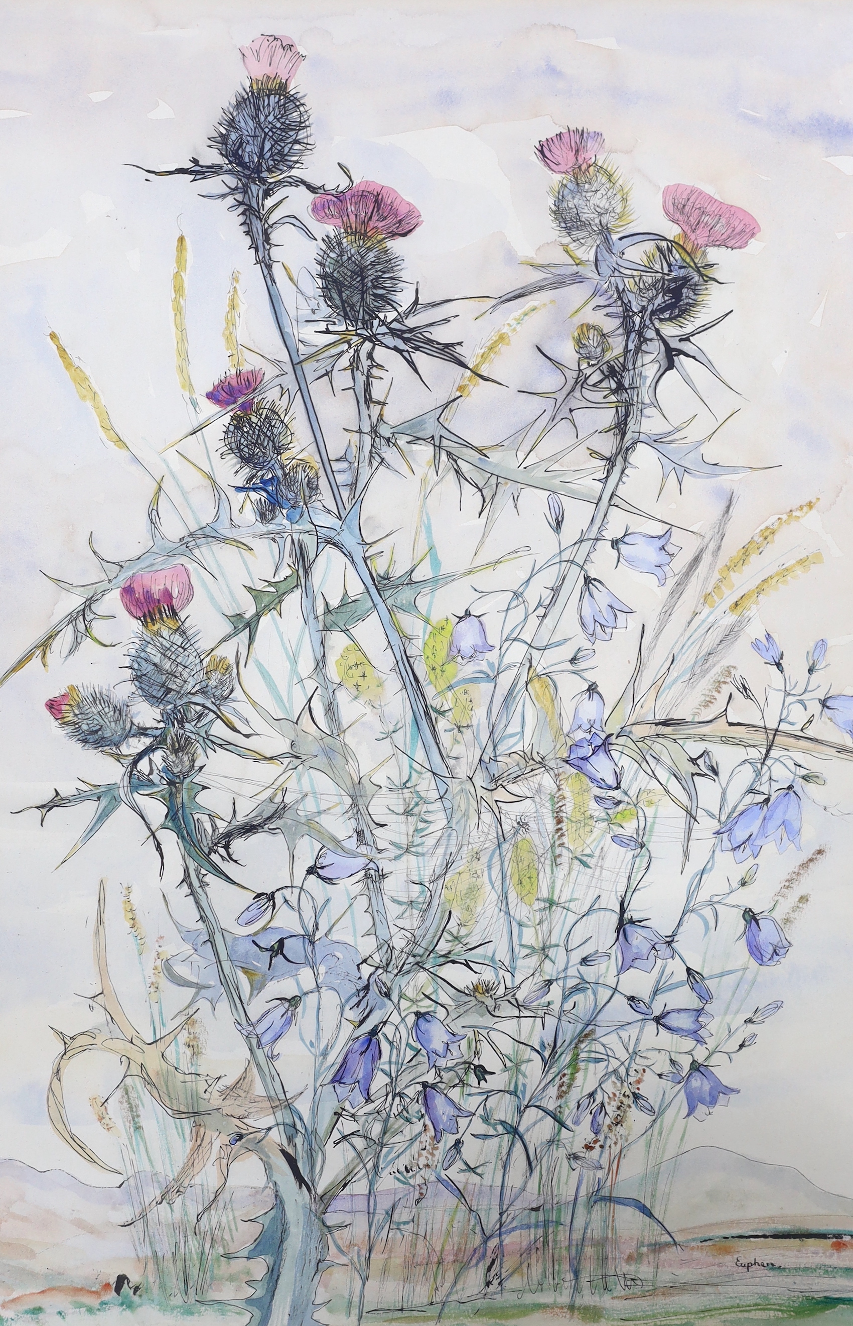 Euphen Alexander (Scottish 1917-2008), watercolour, 'Scottish Thistles and Bluebells', signed together with a watercolour landscape signed John Cooke, 53 x 36cm